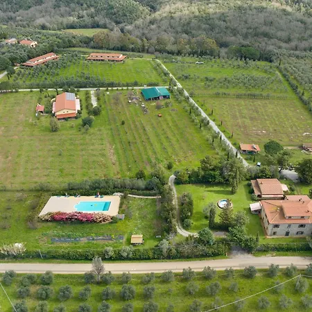 Il Nazareno - Tasso Sud Cecina (Livorno)